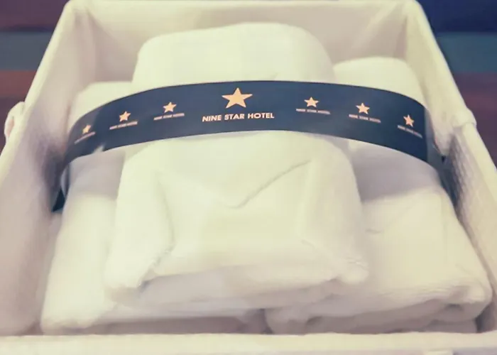 Nine Star 汽车旅馆 *
